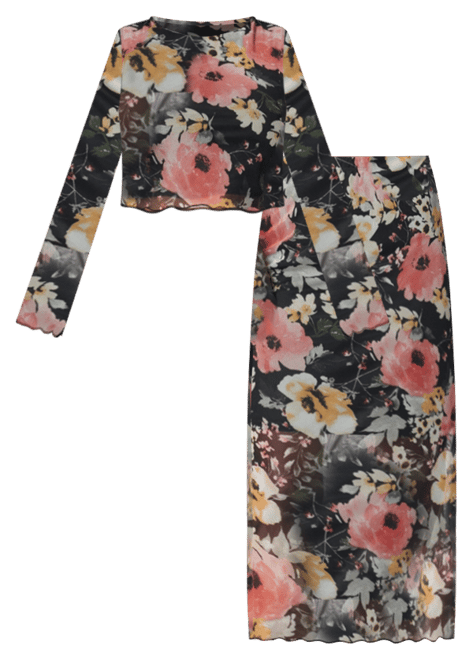 Women's Mesh Printed Two Piece Long Sleeve Set