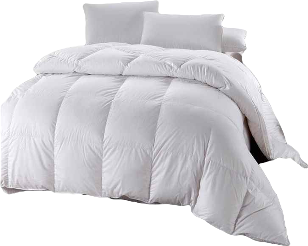 Egyptian Cotton 500 Thread Count Down Comforter, Full/Queen
