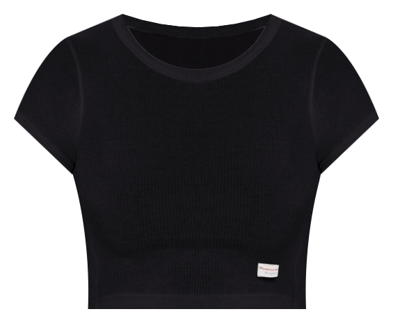 alexanderwang Alexander Wang Cropped Short Sleeve Crewneck