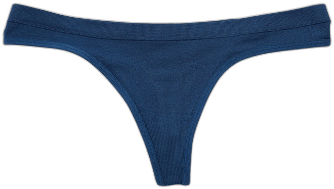 Arizona Body Cotton with Lace Hipster Panty - JCPenney