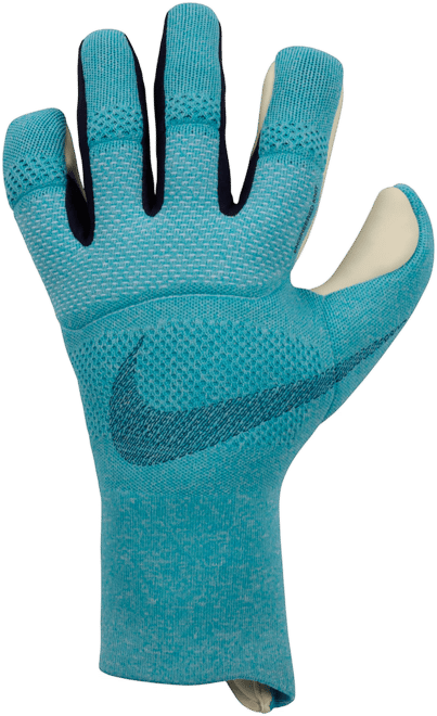 Nike Vapor Dynamic Fit Soccer Goalkeeper Gloves
