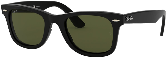 Ray-Ban Wayfarer Ease Sunglasses