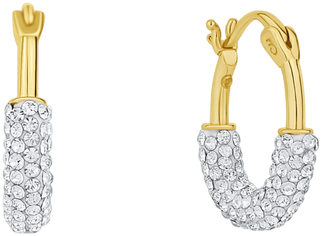 Crystal Hoop Earring