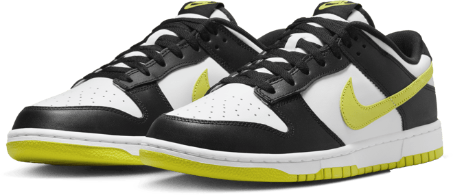 Nike Dunk Low Retro Men's Shoes