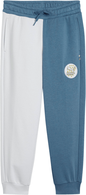 CLASSICS PUMA FC Sweatpants, Kids