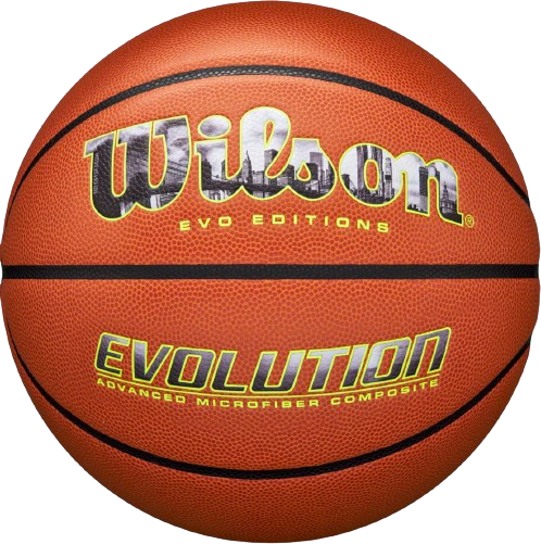 Wilson Evo Editions Chris Brickley Basketball | Dick's