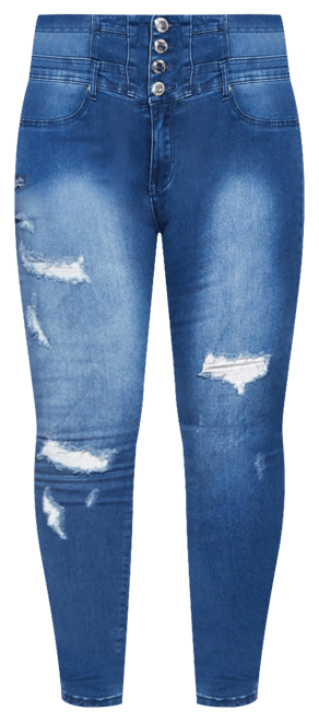 Plus Size Asha Rip Corset Skinny Jean