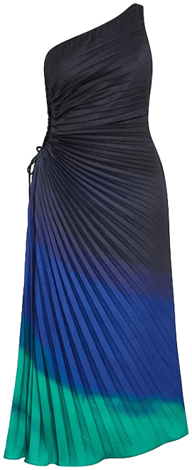 Plus Size Aliza Print Pleat Maxi Dress