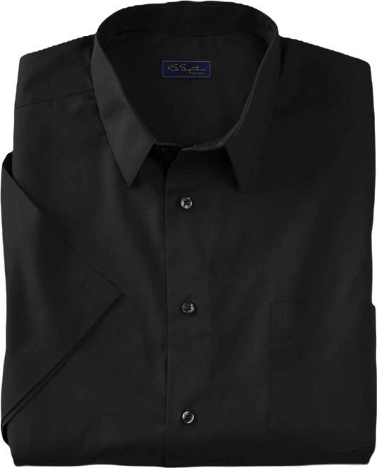 Big & Tall Wrinkle-Free Short-Sleeve Dress Shirt