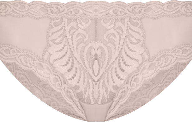 Feathers Low-Rise Sheer Hipster Underwear Lingerie 753023