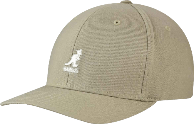 Men's Wool Flexfit Baseball Baseball & Sport Caps
