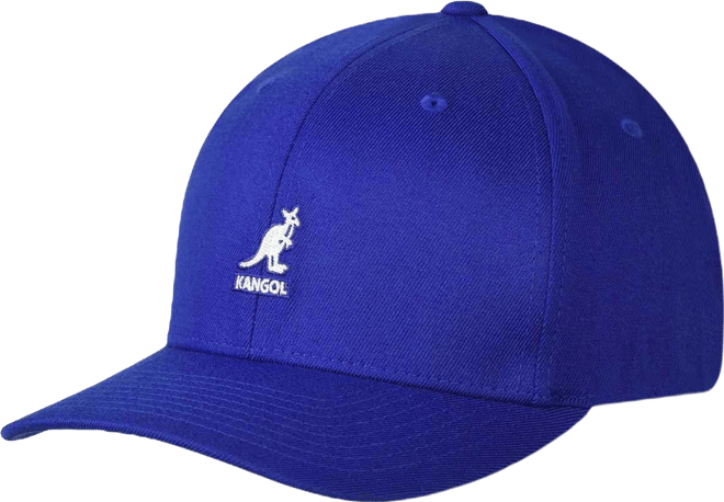 Men's Wool Flexfit Baseball Baseball & Sport Caps