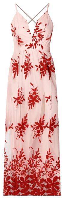 Women's Plunge Neck Embroidered Maxi Dress