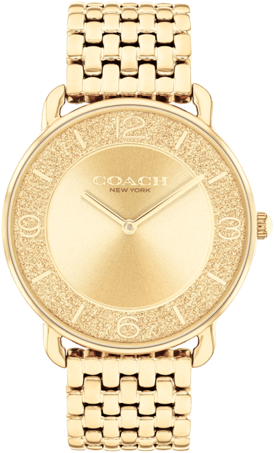 Women's Gold Elliot Stainless Steel Watch 36mm