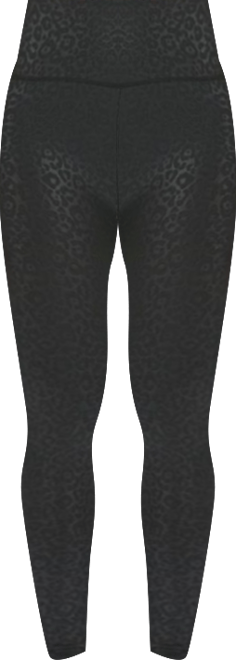 Women's Leopard Print Scrunch Butt Stitch Comfort Waist Athletic Legging