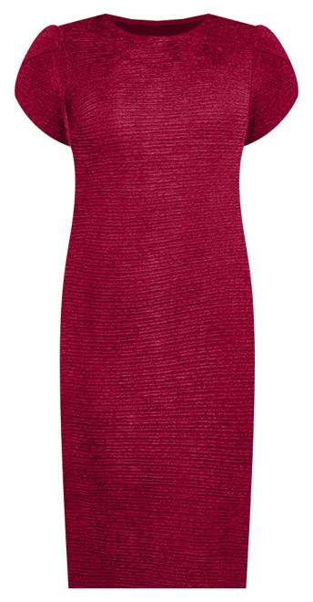 Petal Sleeve Textured Knit Dress