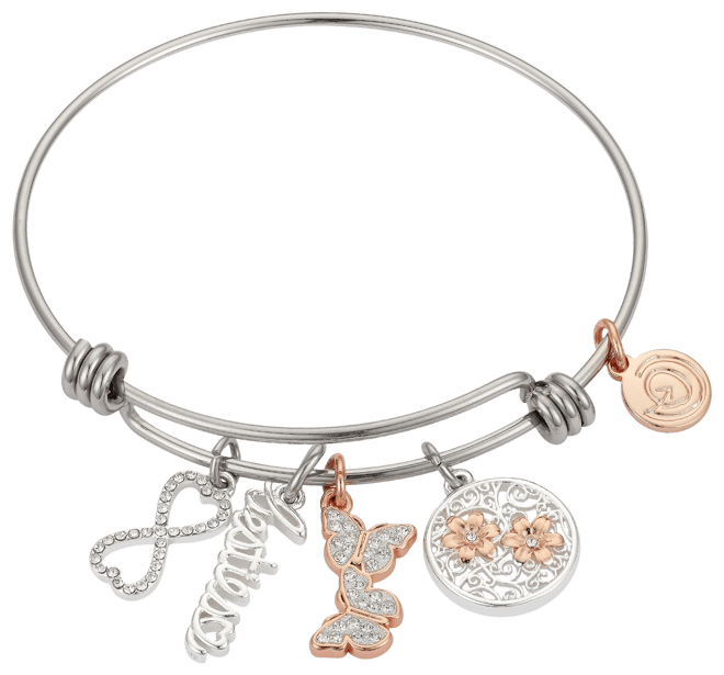 Alex and ani hot sale butterfly charm bangle