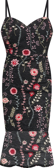 Women's Embroidered Lace Midi Dress