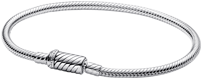 Sterling Silver Snake Chain Bracelet