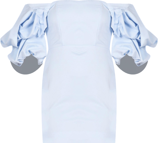 Fern Puff Sleeve Mini Women's Dress