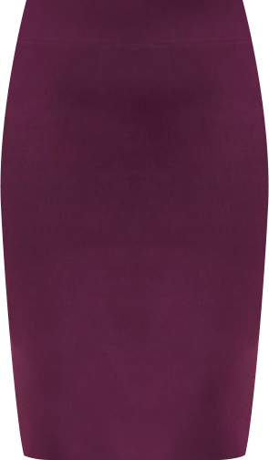 Women's Plus Size Neoprene Pencil Skirt