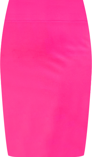 Women's Plus Size Neoprene Pencil Skirt