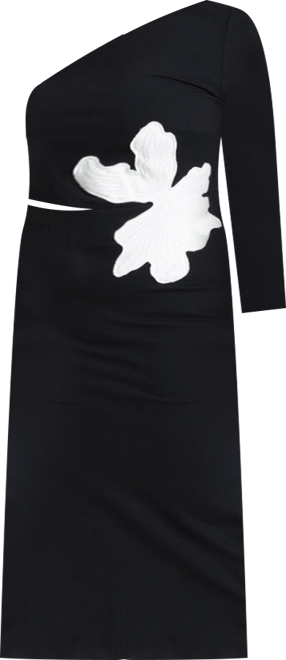 Women's Plus Size One Shoulder Flower Detail Dress