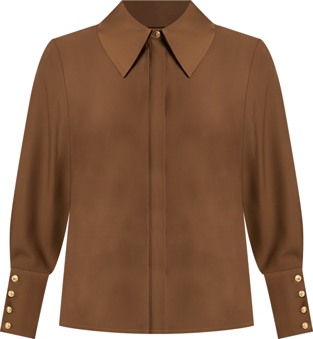 Women's Plus Size Pointed Collar Button Up Shirt