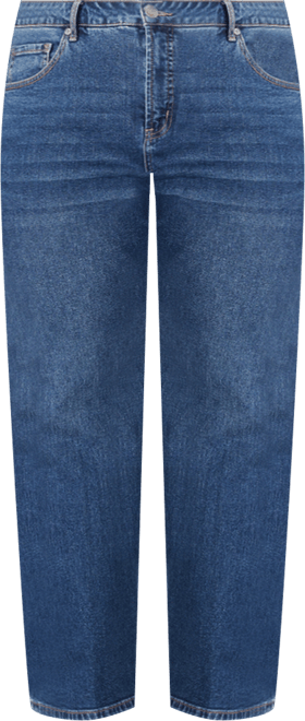 Women's Plus Size The Flare Leg Jean