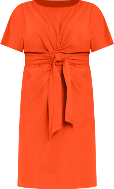 Women's Plus Size Cross Front Flutter Sleeve Dress