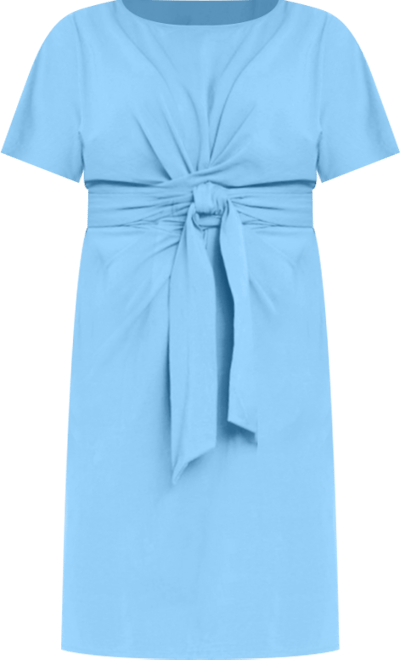 Women's Plus Size Cross Front Flutter Sleeve Dress