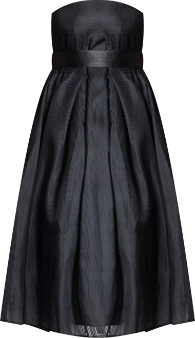 Women's Plus Size Strapless Crinoline Dress