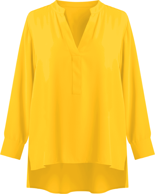 Women's Plus Size Mandarin Collar Tunic