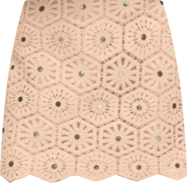 Women's Embroidered Mini Skirt