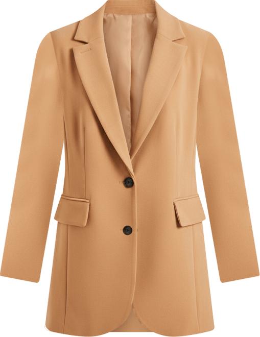 Women's Plus Size The 365 Semi Stretch Two Button Blazer