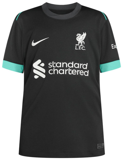 Liverpool FC 2024/25 Stadyum Deplasman Nike Dri-FIT Erkek Futbol Taraftar Forması