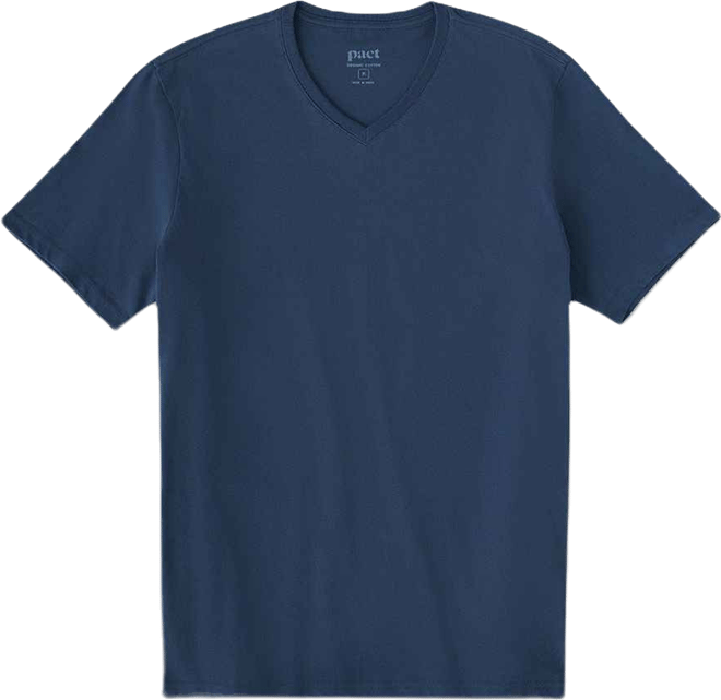 Men's Organic Cotton Softspun V-Neck Tee