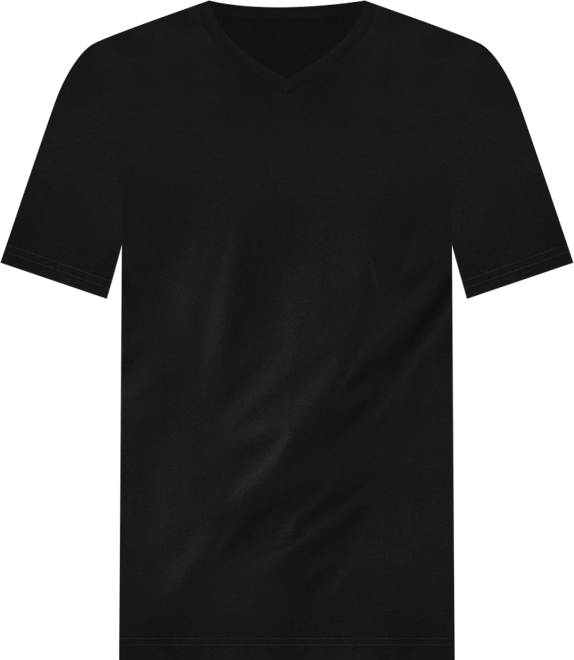 Men's Organic Cotton Softspun V-Neck Tee
