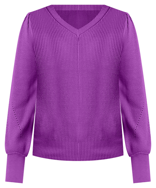 Liz claiborne long sleeve v neck pullover sweater store
