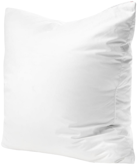 18x18 Luxury Throw Pillow Insert 50% White down 50% Feather