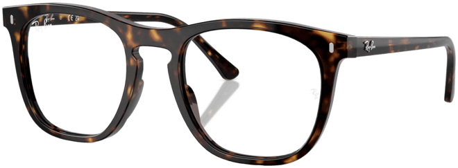 Unisex Eyeglasses, RB2210V