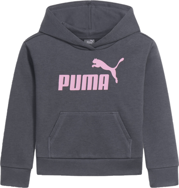 PUMA Core Pack No.1 Logo Little Kids' Hoodie