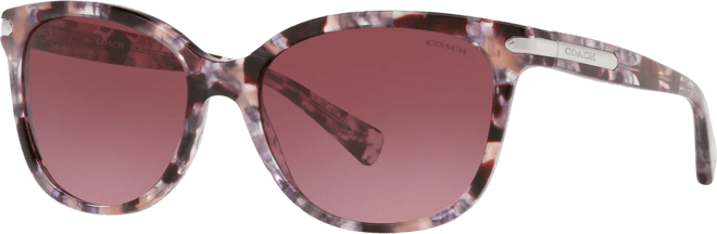 Sunglasses, HC8132