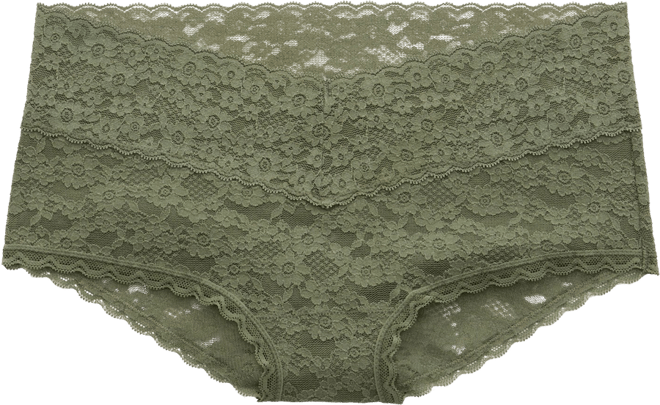 Show Off Vintage Lace Boybrief Underwear