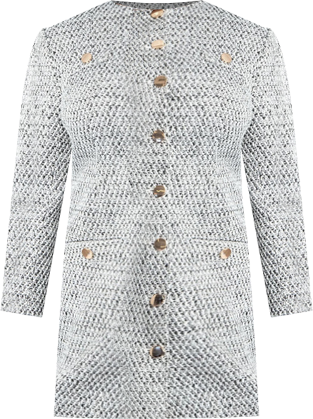 Women's Plus Size Tweed Long Sleeve Mini Dress