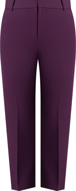 Women's The 365 Semi Stretch Slim Leg Pant