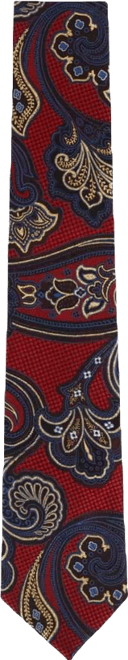 Men's Roman Exploded Paisley Stately Silk Necktie