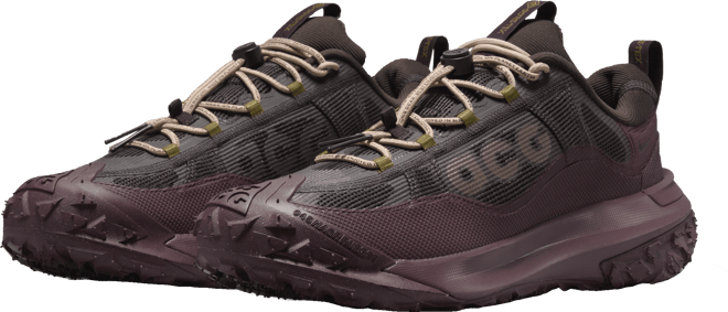 ナイキ ACG マウンテン フライ 2 LOW GORE-TEX メンズシューズ