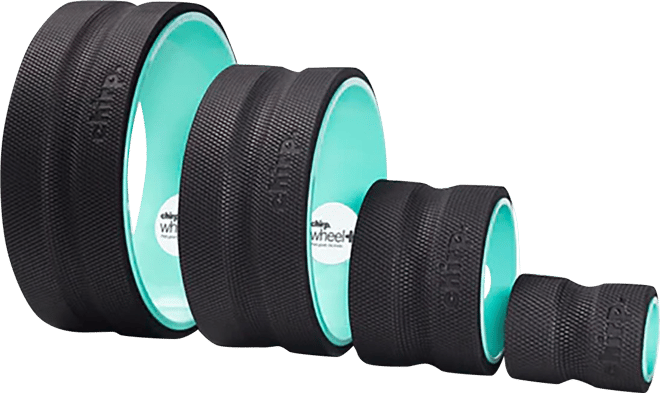 Chirp Wheel+ - 4 Pack | Dick's Sporting Goods
