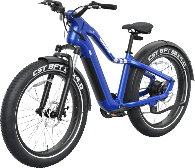 OKAI Adult 26” Ranger EB50 Fat Tire Electric Bike | Dick's